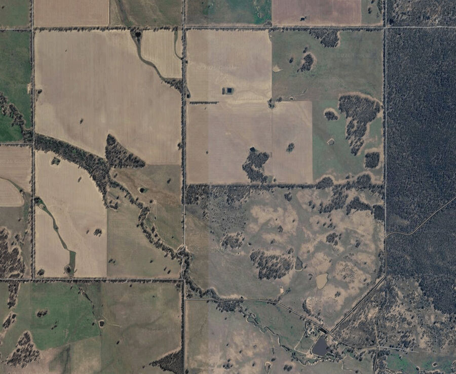 Aerial view of farmland with lines of roadside vegetation connecting patches of bush
