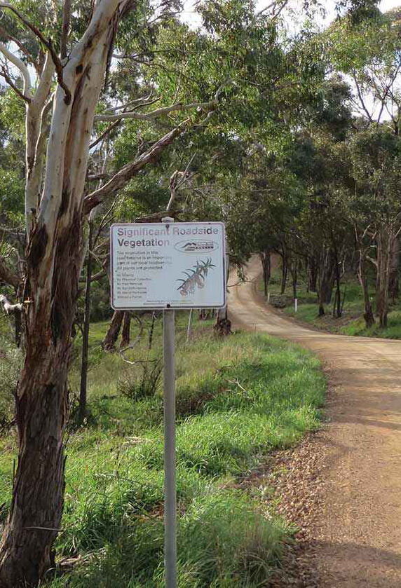 A gravel road winding through remnant eucalypt bushland beside a roadside sign